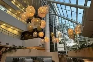 1739555353230-499021660-rgvf9qz9wszbu1f703oh473blqcf82b2dzr5ujybps